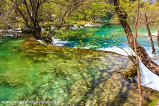 Nationaal Park Plitvicemeren - Nationaal Park Plitvicemeren: Een waterval stort naar beneden in het water van het Kaluderovac Jezero, een van de...