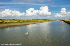 Dutch part of the Wadden Sea - Animals like seals live in the Wadden Sea, it is also a popular breeding area and tanking station for a large number of migrating...