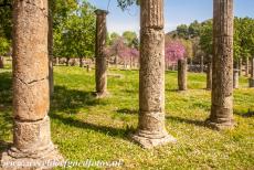 Archaeological Site of Olympia - Archaeological Site of Olympia: The Doric columns of the Palaestra, the wrestling school. It was a square building, the inner courtyard was...