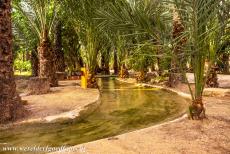 Palmeral of Elche - Palmeral of Elche: The palms are planted along a network of irrigation canals, the water comes from the River Vinalopó, the irrigation...