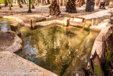 Palmeral van Elche - Een houten sluisje in een irrigatiekanaal in de Palmeral van Elche, door middel van deze houten sluisjes wordt het waterpeil geregeld in de...