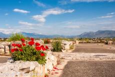 Archeologisch Tiryns - Archeologisch Tiryns: Vanuit de citadel van Tiryns is het uitzicht over het omringende landschap adembenemend, bij helder weer is Nafplion...