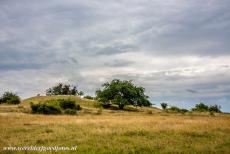 Birka and Hovgården - Birka and Hovgården: This burial mound dating back to the Viking period has long been known as Skopintull. The remains of two...