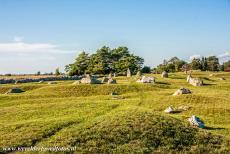 Agricultural Landscape of Southern Öland - Agricultural Landscape of Southern Öland: The ancient grave field near Segerstad dates back to the Iron Age, some graves are probably...
