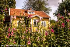 Agrarisch landschap van Zuid-Öland - Agrarisch landschap van Zuid-Öland: Een klein houten huis in het pittoreske dorp Vickleby. Het dorp ligt dichtbij de...