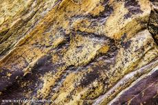 Prehistorische rotstekeningen van Siega Verde - Prehistorische rotskunst in Siega Verde: Door een regenbui is deze rotstekening van een stier duidelijker te zien. Er zijn...
