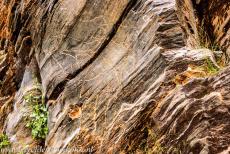 Prehistoric Rock Art of Siega Verde - Prehistoric Rock Art Site of Siega Verde: The rock art of Siega Verde is located inside a protected archaeological area. The site... Prehistoric Rock Art of Siega Verde - Prehistoric Rock Art Site of Siega Verde: The rock art of Siega Verde is located inside a protected archaeological area. The site...