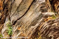 Prehistorische rotstekeningen van Siega Verde - Prehistorische rotskunst van Siega Verde: De rotstekeningen in Siega Verde liggen binnen een archeologisch beschermd gebied....