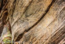 Prehistorische rotstekeningen van Siega Verde - Prehistorische rotskunst in Siega Verde: Dit paneel met rotskunst laat een groep dieren zien, waaronder een stier en een paard. Voor een...
