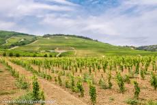 Tokaj wijnstreek - Historisch cultuurlandschap van de Tokaj: Het wijnregio van de Tokaj is het oudste beschermde wijngebied ter wereld. Al in 1730...