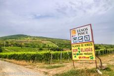 Tokaj wijnstreek - Historisch cultuurlandschap van de Tokaj wijnstreek: De Tokaj wijnstreek staat bekend om haar zoete wijnen, gemaakt van druiven, die...