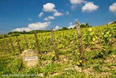 Champagnestreek, heuvels, wijnhuizen en kelders - Heuvels, wijnhuizen en kelders van de Champagne wijnstreek:   Een stenen markering in een van de wijngaarden bij het dorp Hautvillers....