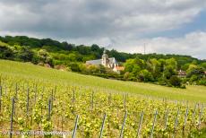 Champagnestreek, heuvels, wijnhuizen en kelders - Heuvels, wijnhuizen en kelders van de Champagne wijnstreek:   De abdijkerk van Hautvillers. Het dorp Hautvillers wordt omgeven door...