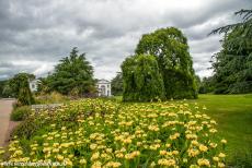 Royal Botanic Gardens, Kew - Royal Botanic Gardens, Kew: The border along the Broad Walk, the Orangery in the background. Kew Gardens contains over fifty thousand...