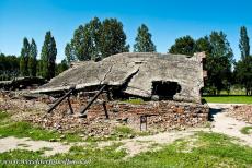 Auschwitz - Birkenau - The ruins of crematorium II at the concentration and extermination camp Auschwitz - Birkenau. The crematories and gas chambers were...