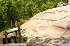 Rock Drawings in Valcamonica - Rock Drawings in Valcamonica: The rock number 6 in the Rock Art Park of Foppe di Nadro in the town of Ceto represents the artistic peak...