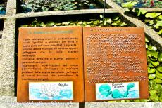 Botanical Garden (Orto Botanico) of Padua - Botanical Garden (Orto Botanico), Padua: The information boards in braille allows blind people to recognize the plants by smelling and...
