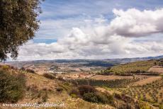 Alto Douro Wine Region - Alto Douro Wine Region: The landscape of the Alto douro is situated along the River Douro and its tributaries, the landscape consists of terraced...