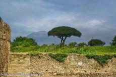 Archaeological Areas of Pompeii and Herculaneum - Ancient Pompeii with Mount Vesuvius in the background. Pompeii, Herculaneum and Oplontis, modern Torre Annunziata, were devastated by an eruption...