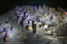 Archeologische sites van Pompeii en Herculaneum - Archeologische opgravingen van Pompeii, Herculaneum en Torre Annunziata: De overblijfselen van meer dan 1500 mensen zijn gevonden in Pompeii en...