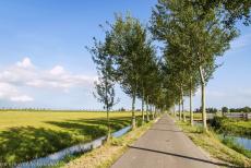 Droogmakerij de Beemster (Beemster Polder) - De lange kaaersrechte wegen en sloten van de Beemsterpolderr. De Nederlanders begonnen al in de 8ste eeuw met de aanleg van dijken om de...