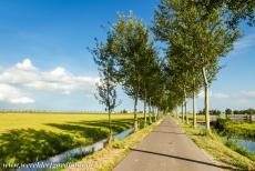 Droogmakerij de Beemster (Beemster Polder) - De lange kaaersrechte wegen en sloten van de Beemsterpolderr. De Nederlanders begonnen al in de 8ste eeuw met de aanleg van dijken om de...