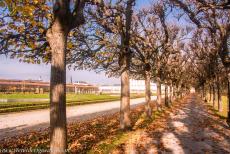 Augustusburg Castle at Br&uuml;hl - Castles of Augustusburg and Falkenlust at Br&uuml;hl: The Garden Walk in Augustusburg Park. The design of Schlosspark Augustusburg was inspired by...