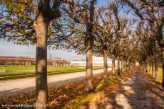 Augustusburg Castle at Brühl - Castles of Augustusburg and Falkenlust at Brühl: The Garden Walk in Augustusburg Park. The design of Schlosspark Augustusburg was inspired by...