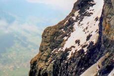 Zwitserse Alpen Jungfrau-Aletsch - De Jungfraubahn gaat naar de Eiger Noordwand en de Jungfrau-Aletsch regio. De trein gaat eerst door alpenweiden, langs massieve rotsen met gemzen,...