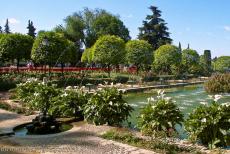 Historic Centre of Córdoba - Historic Centre of Córdoba: The water fountain in the 14th century gardens of the Alcazar de los Reyes Cristianos. The palace...