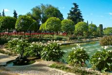 Historic Centre of Córdoba - Historic Centre of Córdoba: The water fountain in the 14th century gardens of the Alcazar de los Reyes Cristianos. The palace...