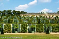 Slot Sanssouci in Potsdam - Paleizen en parken van Potsdam en Berlijn: De terrasvormige wijngaarden voor Slot Sanssouci. Sanssouci ligt in het Park Sanssouci in...