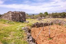 Stari Grad Plain - Stari Grad Plain: A trim is a small dry stone shelter, in front of the trim stands a small cistern for holding rain water. The Greek...