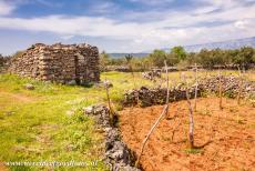 Stari Grad Plain - Stari Grad Plain: A trim is a small dry stone shelter, in front of the trim stands a small cistern for holding rain water. The Greek...