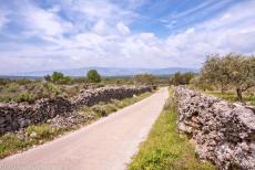 Stari Grad Plain - The Stari Grad Plain is a cultural landscape and is also a natural reserve. The Stari Grad Plain is divided into geometrical plots...