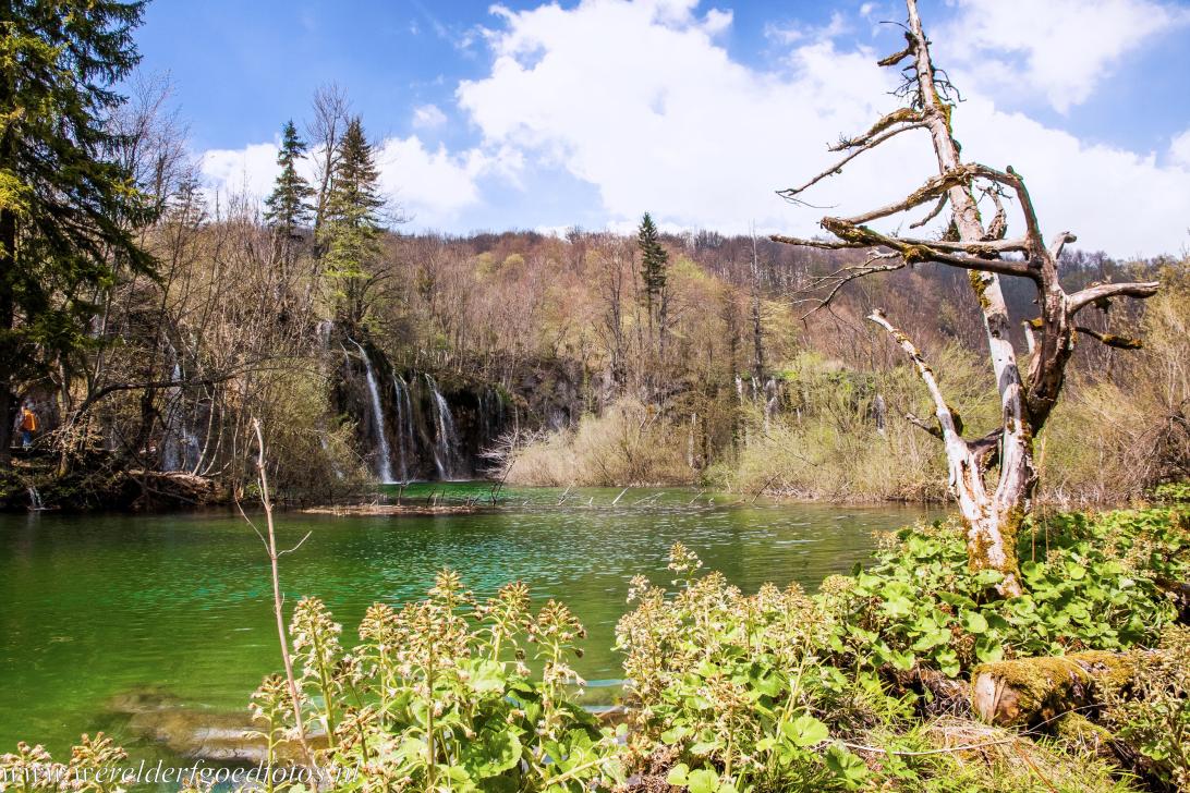 Plitvice Lakes National Park - The Galovac Lake is the eight highest lake in Plitvice Lakes National Park, the national park is an imposing collection of more than ninety... Plitvice Lakes National Park - The Galovac Lake is the eight highest lake in Plitvice Lakes National Park, the national park is an imposing collection of more than ninety...