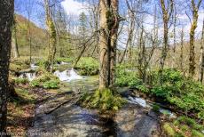 Plitvice Lakes National Park - Plitvice Lakes National Park: The Veliki Burget Waterfall cascades down from the Burget Jezera. The area around the lake is a...