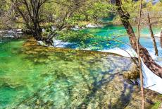 Plitvice Lakes National Park - Plitvice Lakes National Park: A waterfall tumbles down into the green waters of the Kaluderovac Lake, one of the Lower Lakes. The difference...