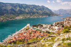 Kotor en de Baai van Kotor - Kotor en haar baai gezien vanaf de muren van de vesting van San Giovanni. De historische stad van Kotor ligt op een klein...