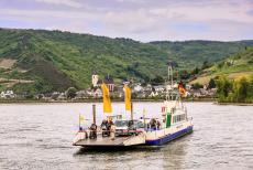 Boven-Midden-Rijndal - Boven Midden-Rijndal: Op meerdere plaatsen kun je de Rijn oversteken met een veerpont. Het Boven Midden-Rijndal is een vrij diep dal, beroemd om...