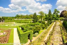 Würzburg Residence - Würzburg Residence: View across the East Garden from the terraced garden. The total area of the Court Gardens is little more than...