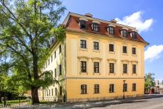 Klassiek Weimar - Klassiek Weimar: Naast het&nbsp;Prinsenhuis staat de oudste ginkgoboom van Weimar, geplant rond 1813. De Ginkgo biloba was de lievelingsboom van...