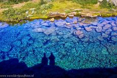 Nationaal Park Thingvellir - Nationaal Park Thingvellir: Peningagjá is een van de kloven in Thingvellir, de kloven zijn gevuld met kristalhelder, ijskoud...