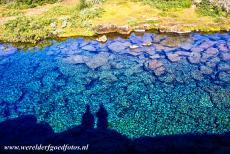 Thingvellir National Park - Thingvellir National Park: The Penningagjá is one of the rifts in Thingvellir, the rifts of Thingvellir are full of crystal clear...