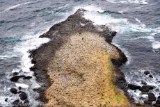 Giant's Causeway en Causeway kust - Giant's Causeway en Causeway kust: De Grand Causeway gezien vanaf de klippen op Causeway kust. De Grand Causeway is het...