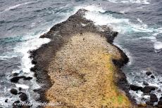 Giant's Causeway en Causeway kust - Giant's Causeway en Causeway kust: De Grand Causeway gezien vanaf de klippen op Causeway kust. De Grand Causeway is het...