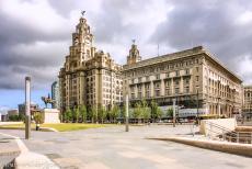 Liverpool - Mercantile City - Liverpool - Maritime Mercantile City: The Royal Liver Building (on the left) was built in 1908-1911. At the time one of the tallest buildings in...