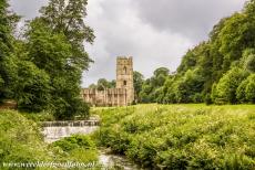 Studley Royal Park - ruins of Fountains Abbey - Studley Royal Park including the ruins of Fountains Abbey: The Grey's Walk leading to the ruins of Fountains Abbey, situated in...