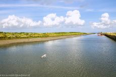 Dutch part of the Wadden Sea - Animals like seals live in the Wadden Sea, it is also a popular breeding area and tanking station for a large number of migrating...