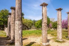 Archaeological Site of Olympia - Archaeological Site of Olympia: The Doric columns of the Palaestra or the wrestling school. The Archaeological Site of...